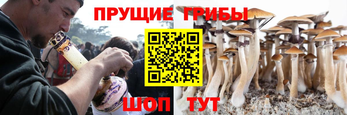 Псилоцибиновые грибы прущие грибы  Вход с VPN  Находка  наркота  Галлюциногенные грибы Psilocybe 