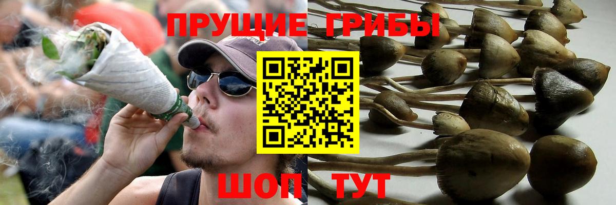 Галлюциногенные грибы MAGIC MUSHROOMS Находка
